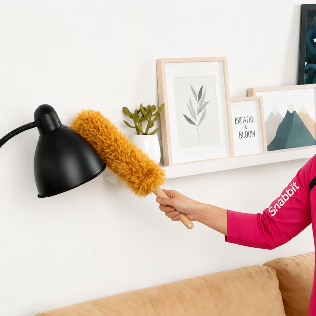 Dusting service